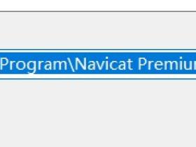 Navicat Premium 12连接远程Oracle数据库