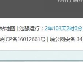 WordPress教程：网站添加运行时间显示