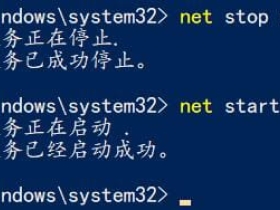 数据库基础操作：启动与图形化界面管理工具