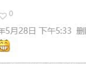 WordPress评论者头像改成首字母显示