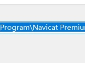Navicat Premium 12连接远程Oracle数据库